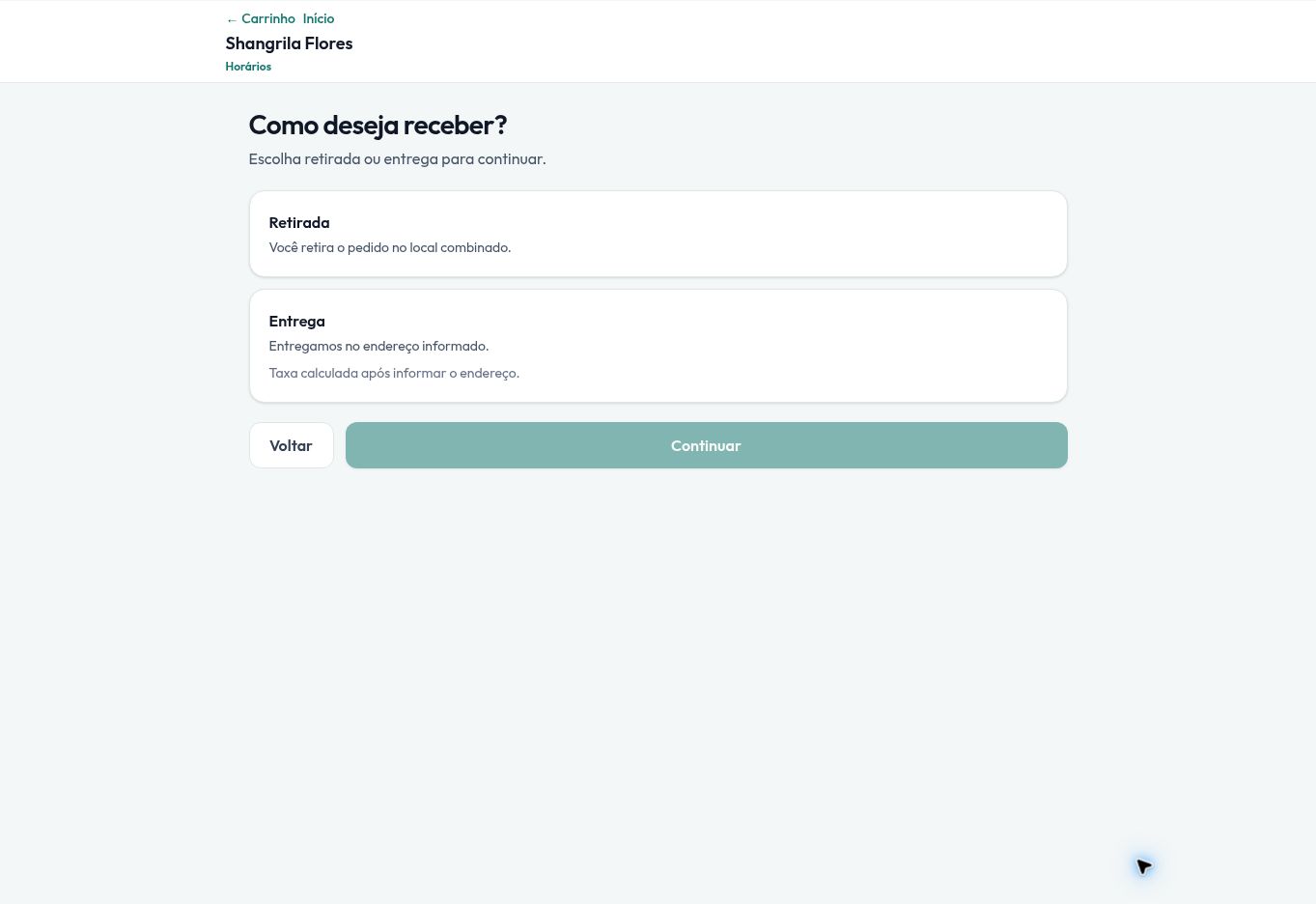 Checkout da loja online com as opções de retirada e entrega