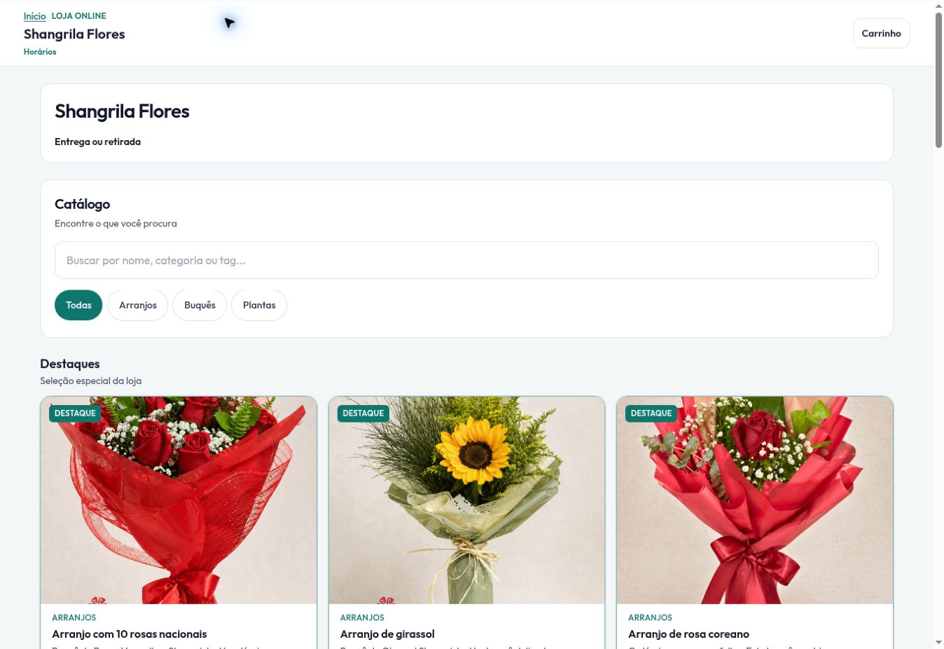 Loja online real de um cliente Lumia Flow com catálogo de produtos